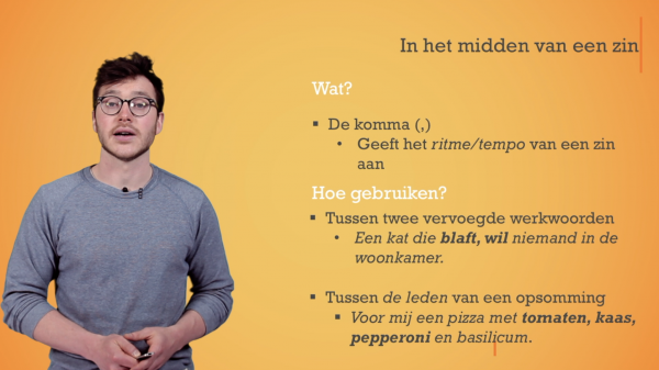 secundair onderwijs Leestekens de komma &amp; het dubbele